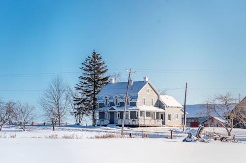Free House Covered in Snow Near Trees Under Blue Sky Stock Photo