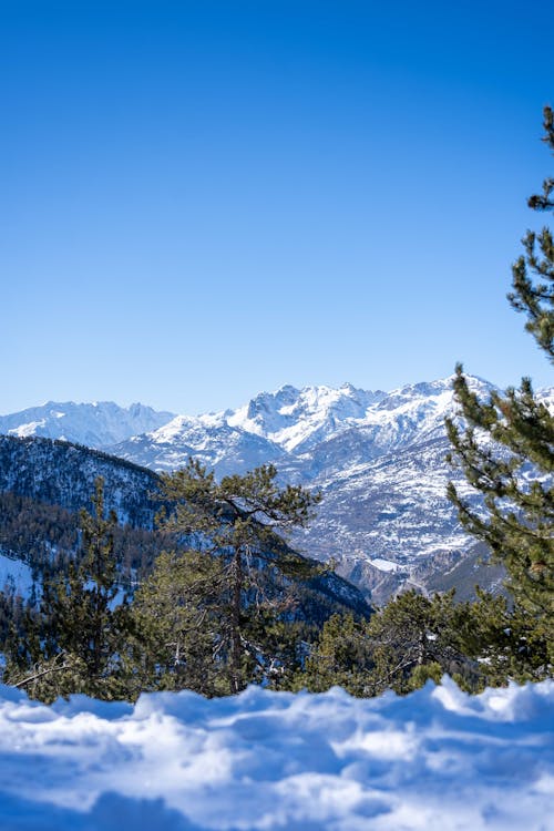 Kostenloses Stock Foto zu bäume, berge, klarer himmel