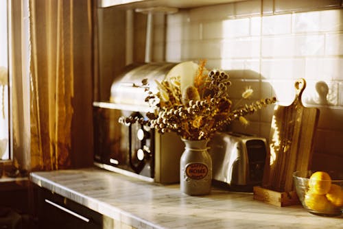 Kitchen Appliances on a Counter Top 