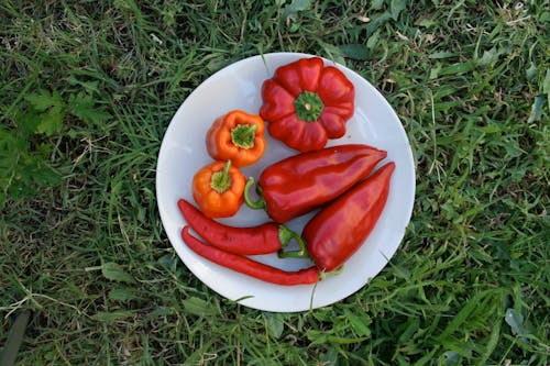 Foto d'estoc gratuïta de fotografia d'aliments, menjar i beguda