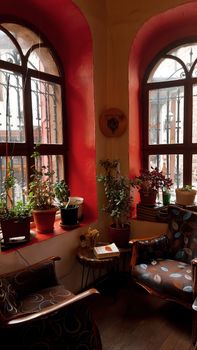 Warm, inviting indoor corner with large windows and various potted plants in a vintage setting.