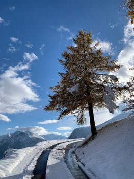 Scenic winter mountain landscape with snow-covered tree and winding path under a clear blue sky.
