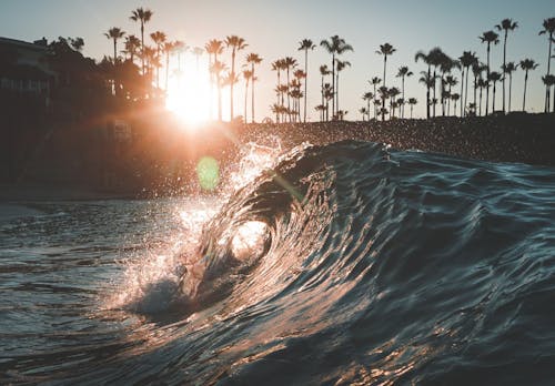 Beach during Sunset