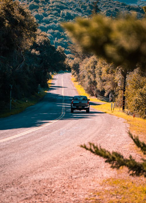 Foto profissional grátis de árvores, asfalto, automobilístico