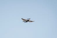 White and Black Airplane Flying in the Sky