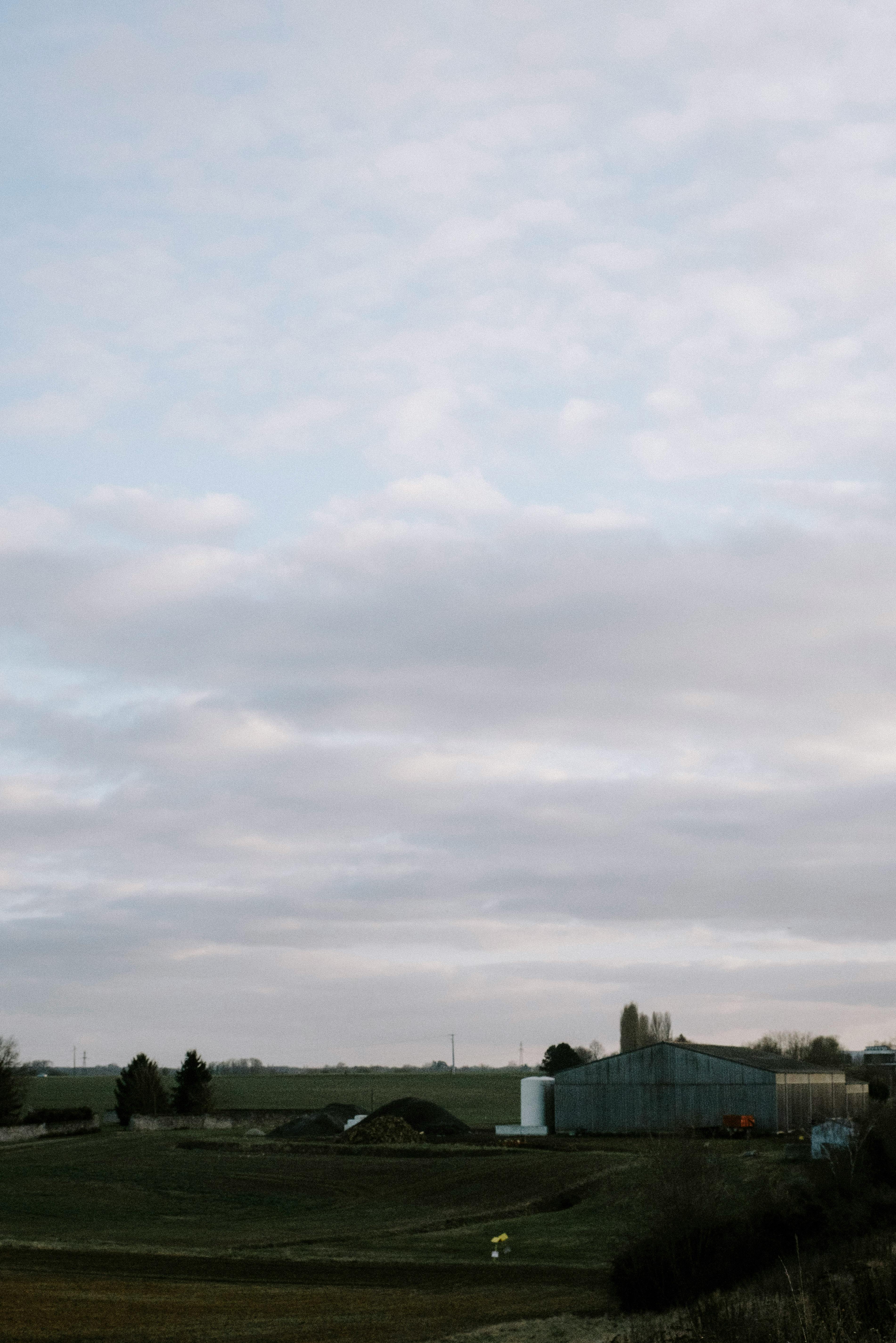 Honeydew Farms Strains Photos, Download Free Honeydew Farms Strains