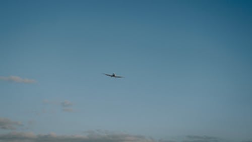 平面, 航空器, 藍天 的 免費圖庫相片