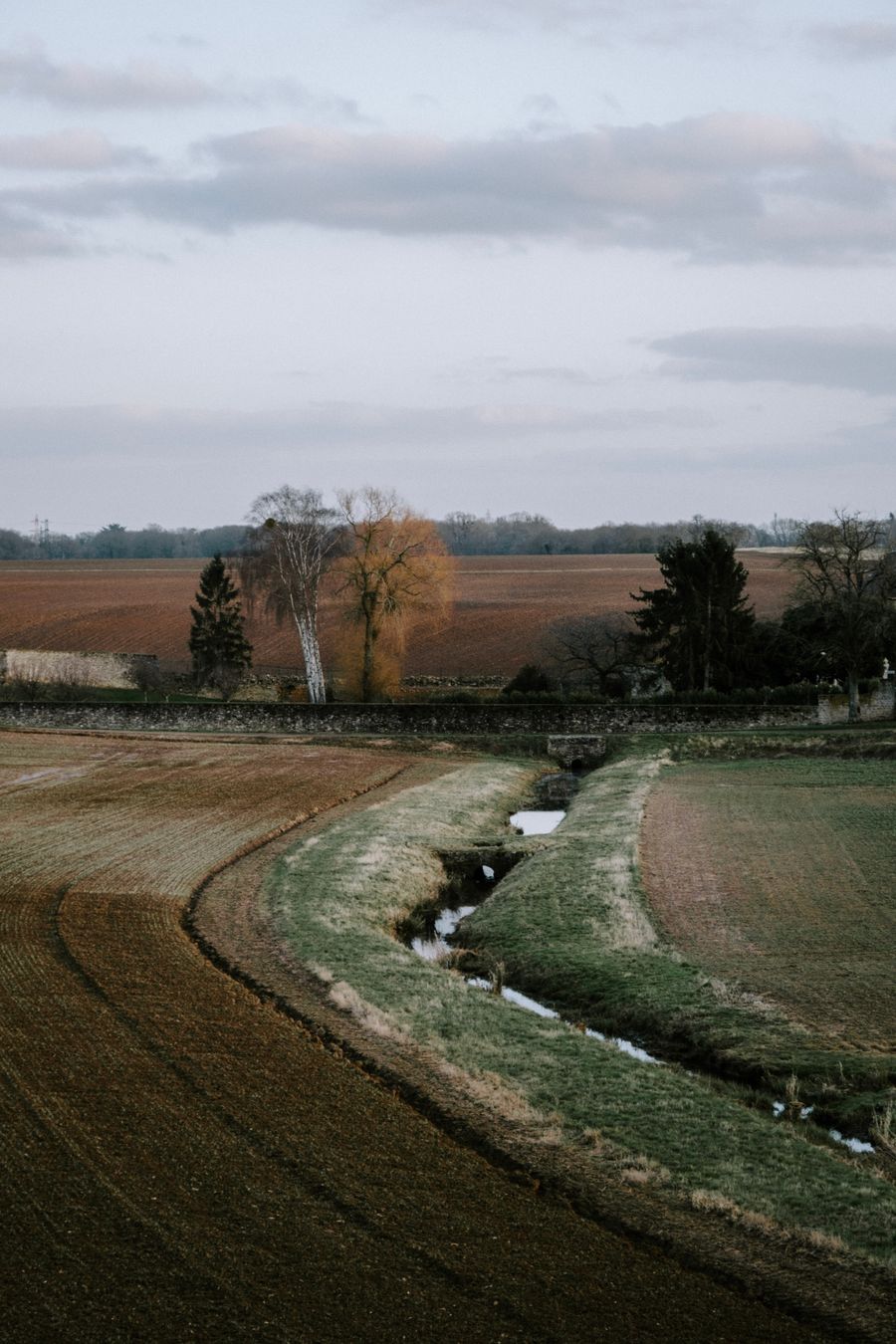 Paisaje rural al atardecer con campos y árboles