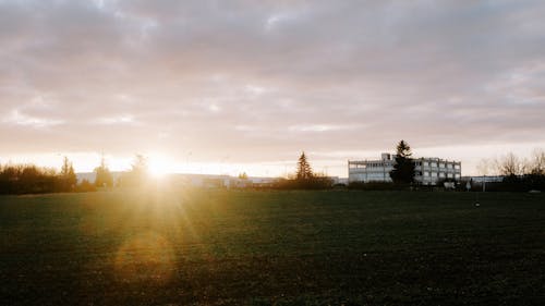 Ingyenes stockfotó ég, mező, napfény témában