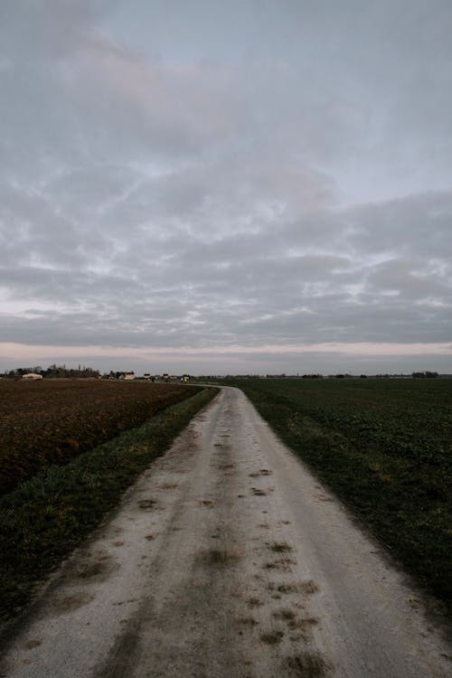 Free Landscape Photography of a Dirt Road in the Countryside Stock Photo