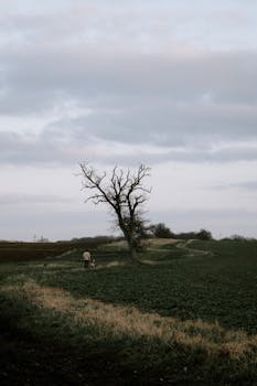 A lone person walks beside a single tree in a vast, serene countryside setting under a cloudy sky.