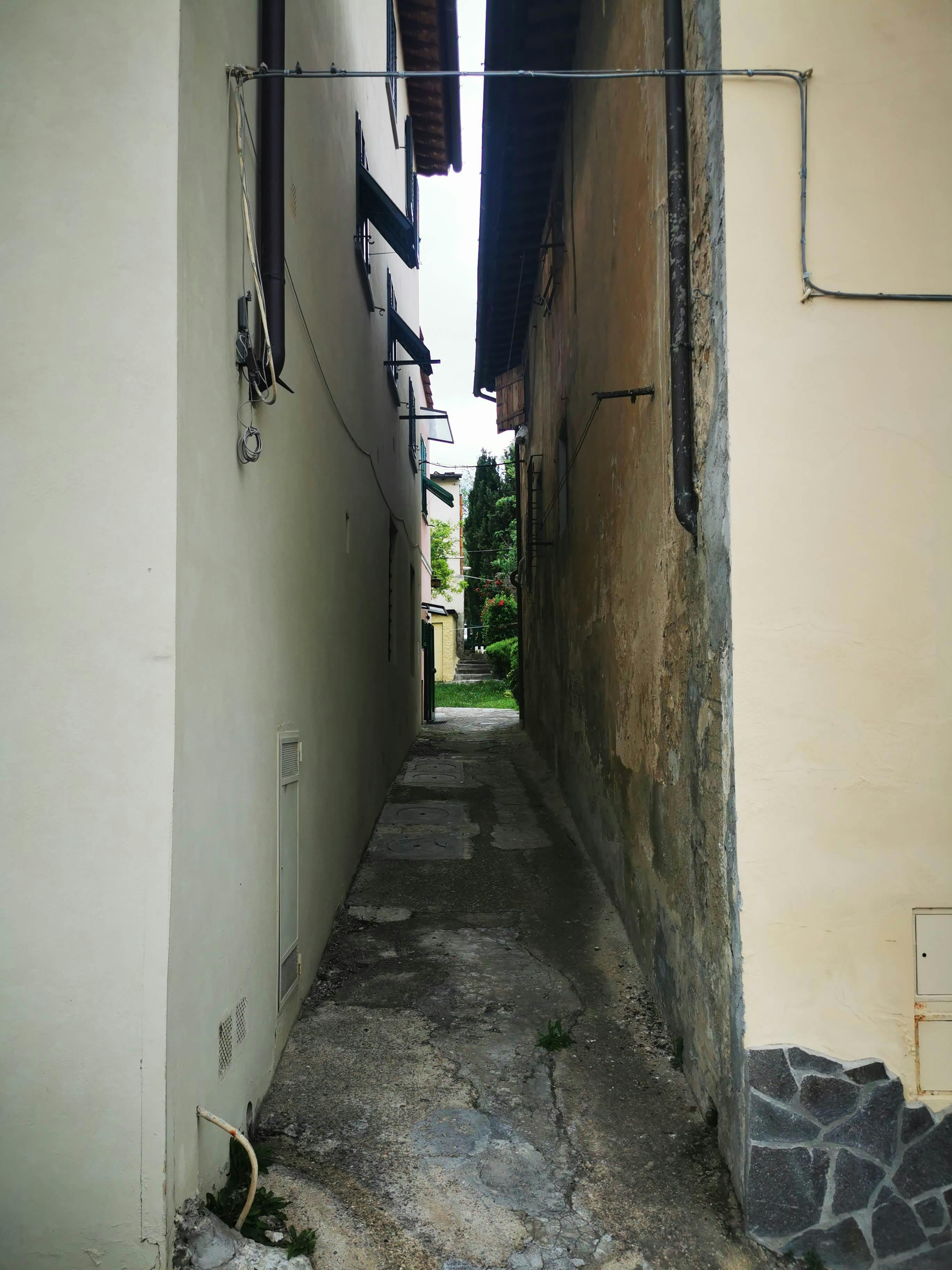 Flag waving with pride and cultural identity