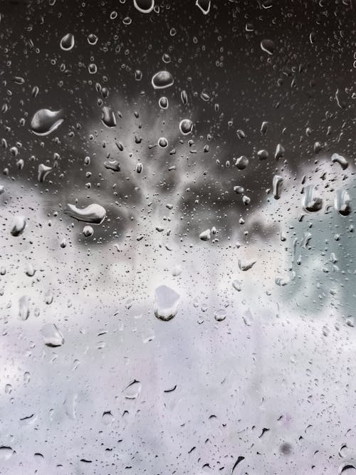 Free stock photo of rain, window, windows Stock Photo