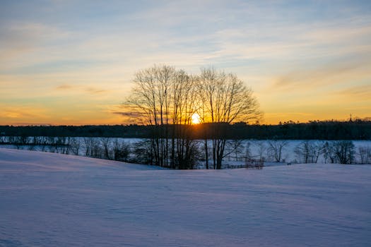 Sunrise over a snow-covered field with leafless trees and a colorful winter sky.