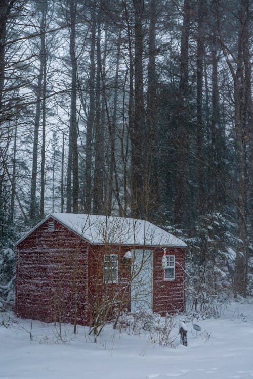 Free Photos gratuites de arbres nus, cabane en bois, couvert de neige Stock Photo