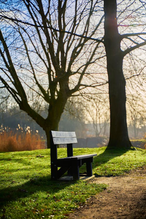 Free Brown Wooden Bench on Green Grass Field Stock Photo