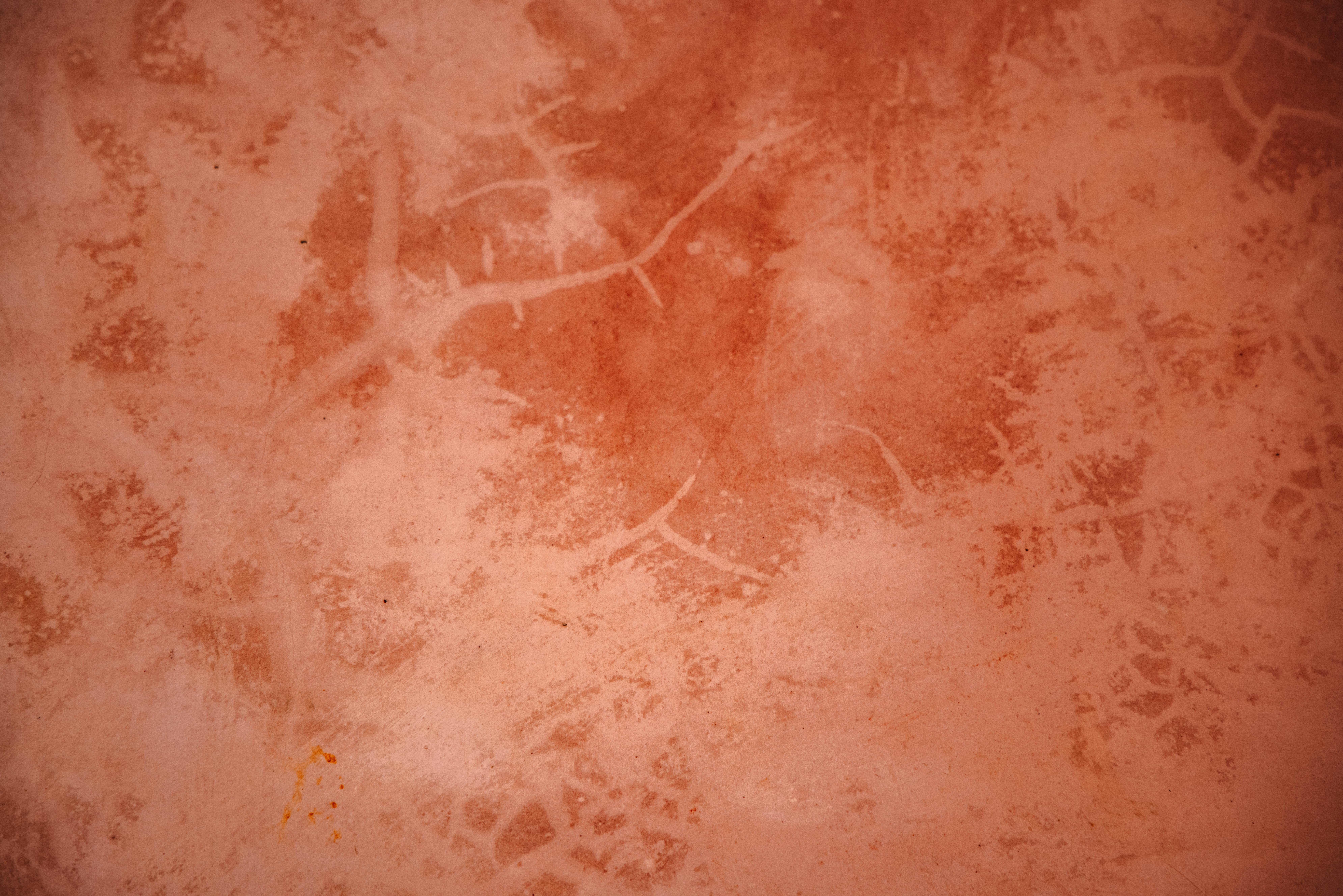 Modern biomimetic interior design with natural patterns