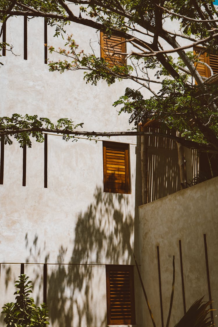 Exterior Of A House