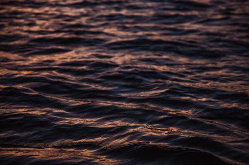 Ingyenes stockfotó hullámok, közelkép, óceán témában Stockfotó