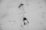 Free stock photo of abandoned, abstraction, beach