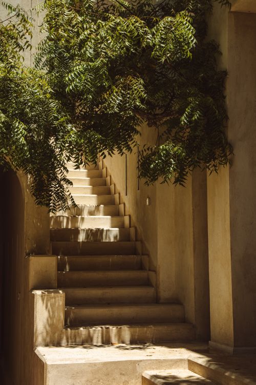 Free A serene stone staircase surrounded by lush green foliage under warm sunlight. Stock Photo