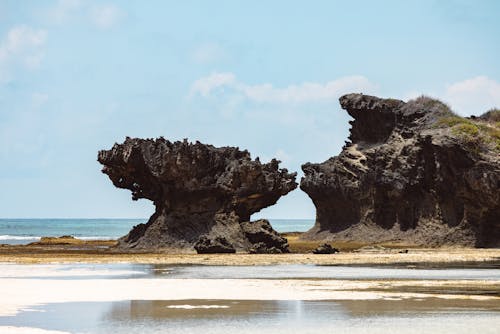 คลังภาพถ่ายฟรี ของ ชายทะเล, ชายหาด, ทราย