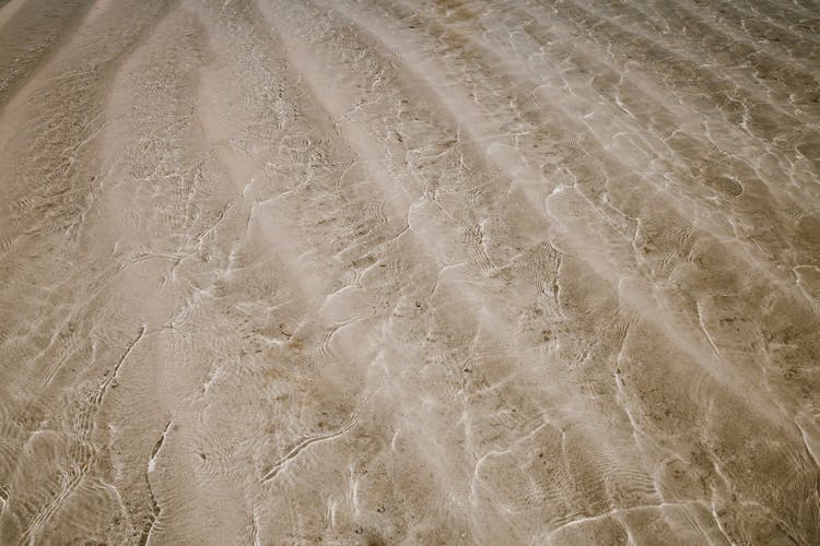 View Of A Beach