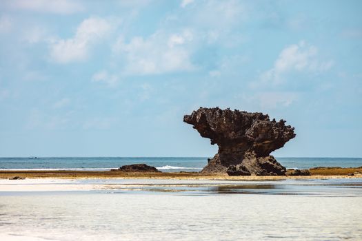 Free stock photo of beach, island, landscape