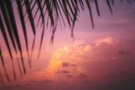 Free stock photo of beach, dawn, dusk