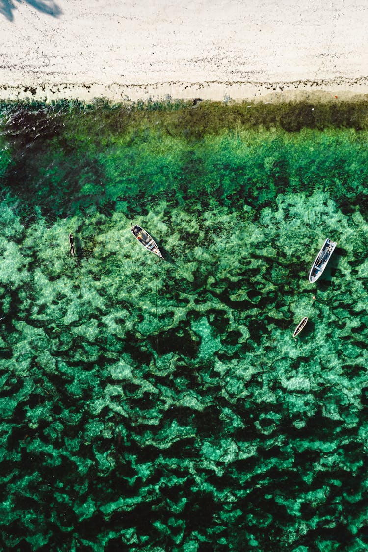 Aerial Photo Of Boats Anchored On Sea