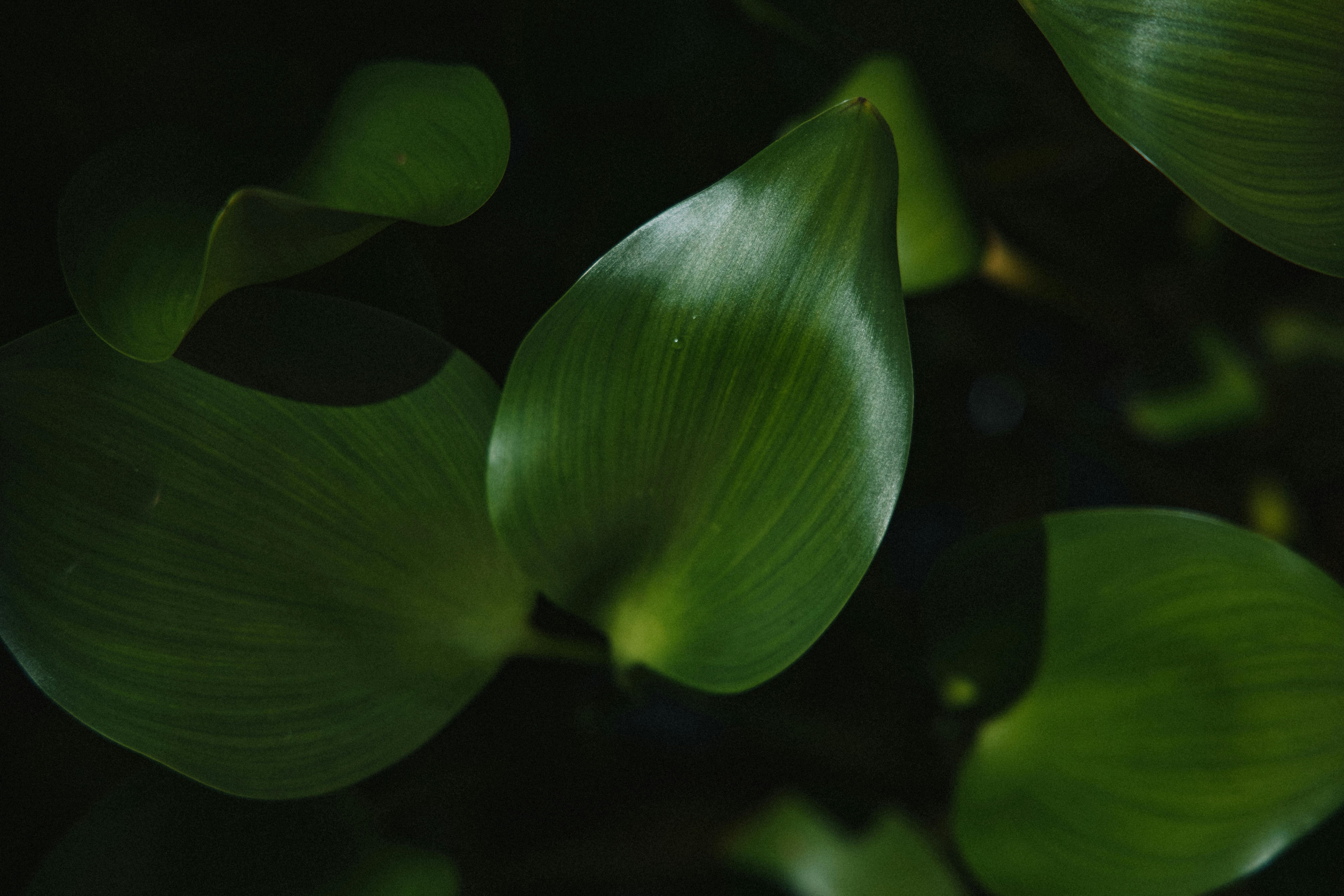 How to Create a Zen Garden for Ultimate Relaxation