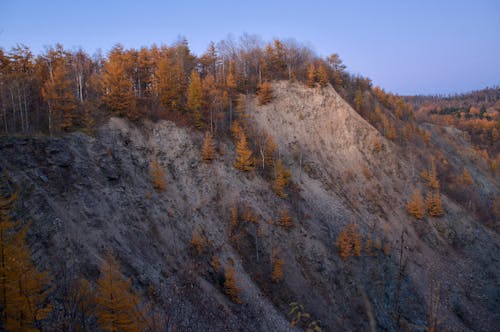 Ingyenes stockfotó fenyőfák, geológiai formáció, hegy témában
