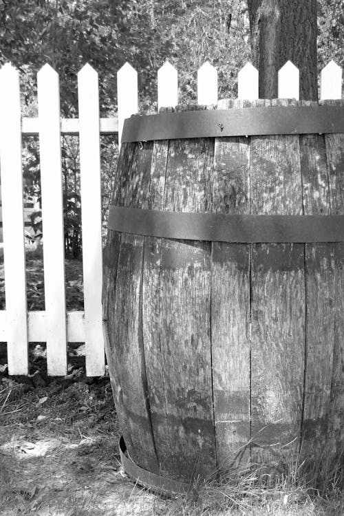 Free stock photo of barrel