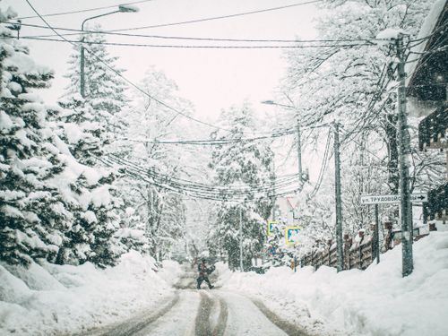 Free A person walking on a snowy road lined with snow-covered trees and electric posts. Stock Photo