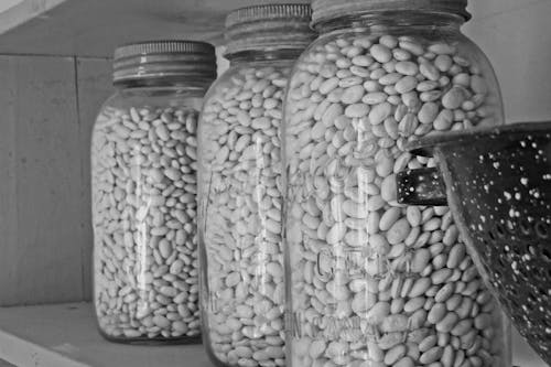 Free stock photo of beans, canning