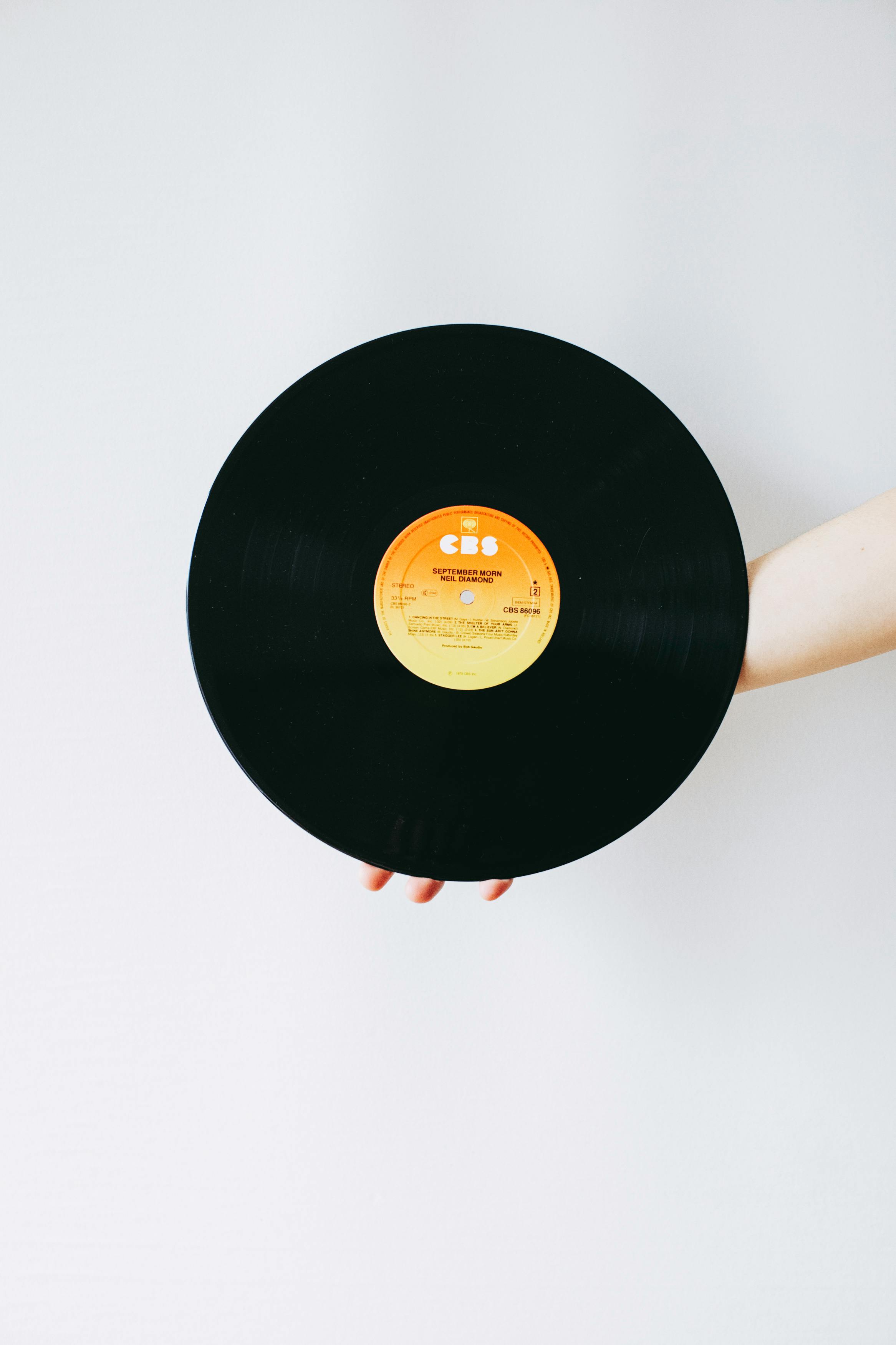 a person holding a vinyl