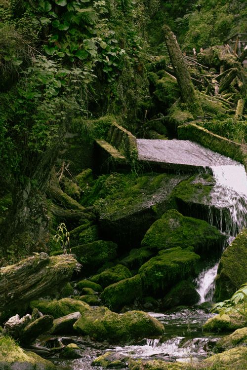 Free A tranquil waterfall cascading over moss-covered rocks in a lush forest setting, capturing nature's beauty. Stock Photo