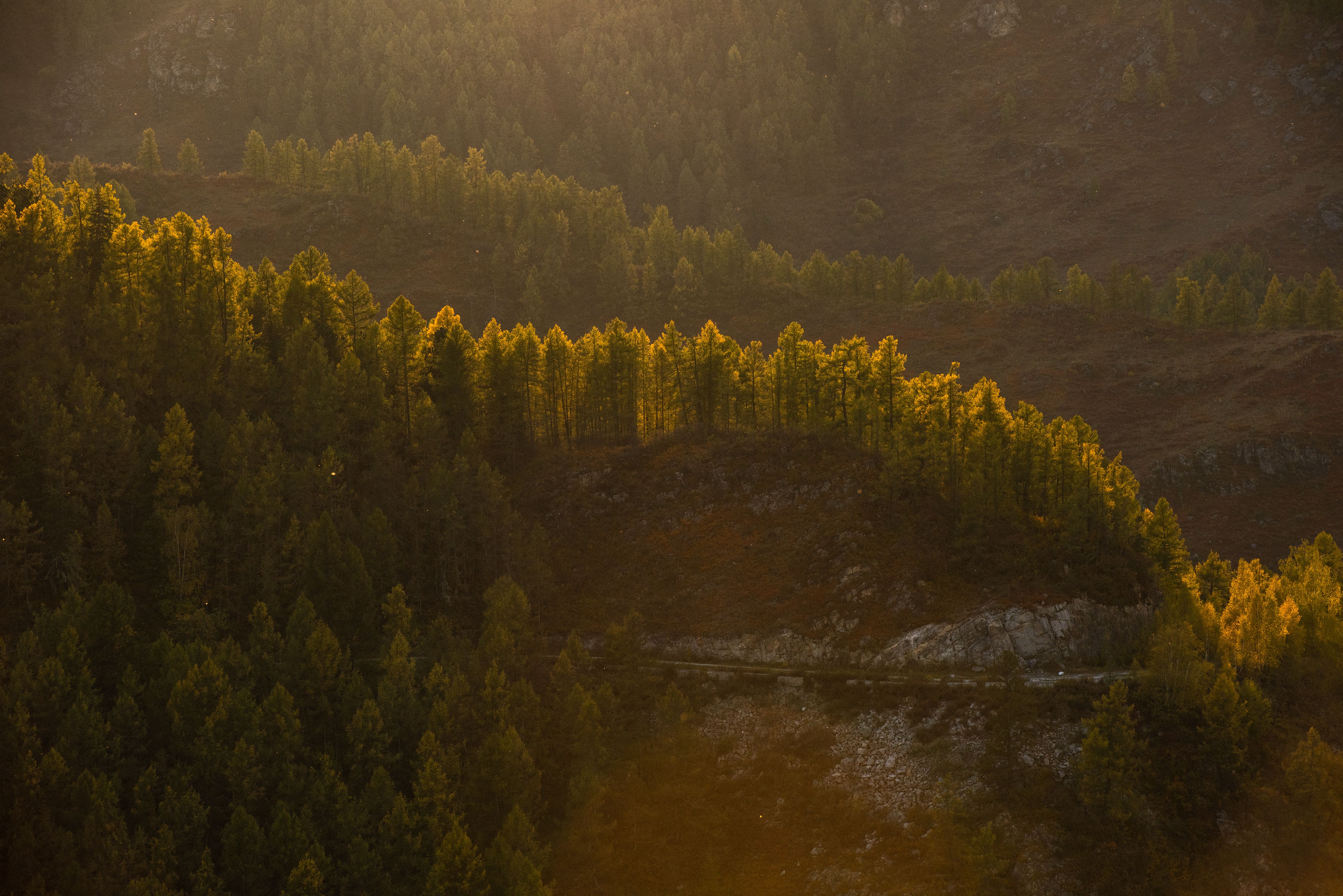 20,000+ Best Rolling Hills Photos · 100 Free Download ·