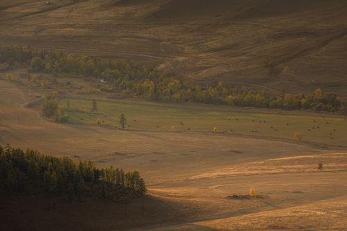 Free A stunning view of the Altai landscape with fields and forests at sunset, showcasing autumn hues. Stock Photo