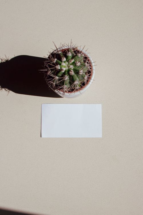 Free Top view of a cactus in a pot with a blank business card on a minimalist beige surface. Stock Photo