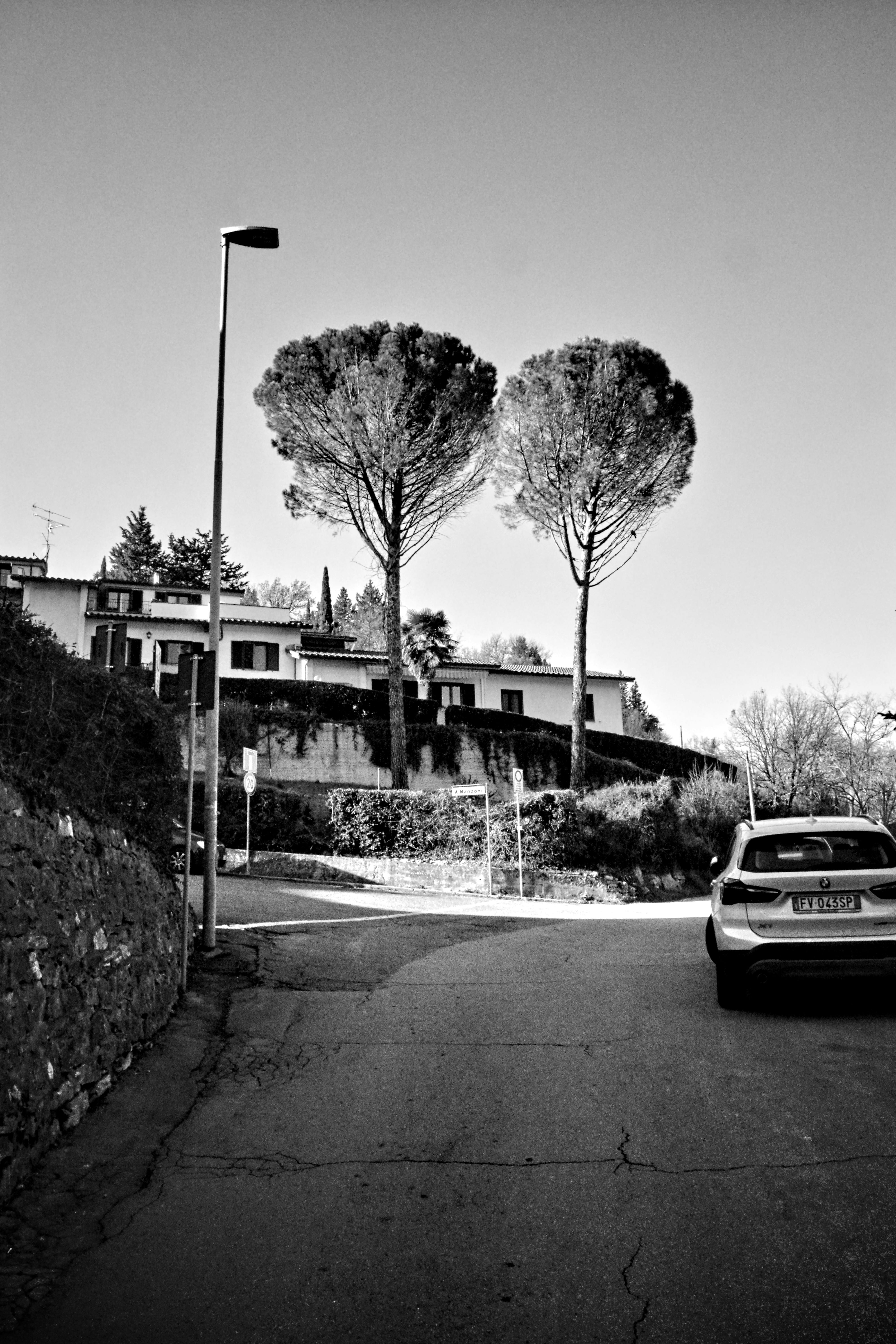 Serene suburban street scene in grayscale featuring trees and a parked car.