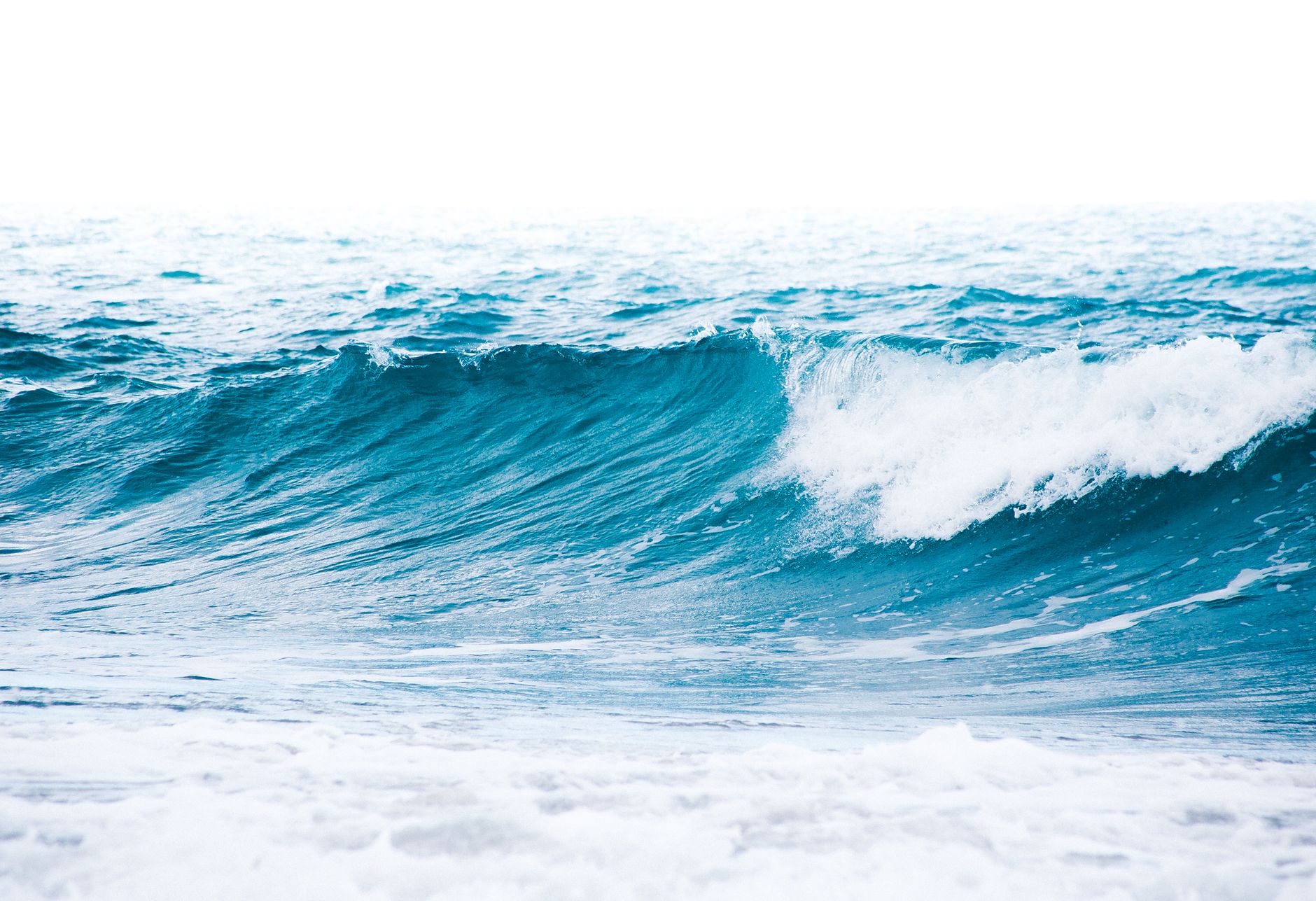 Eco Wave Power Global Embarks on AI-Powered Wave Energy Infrastructure and WaveGPT Development