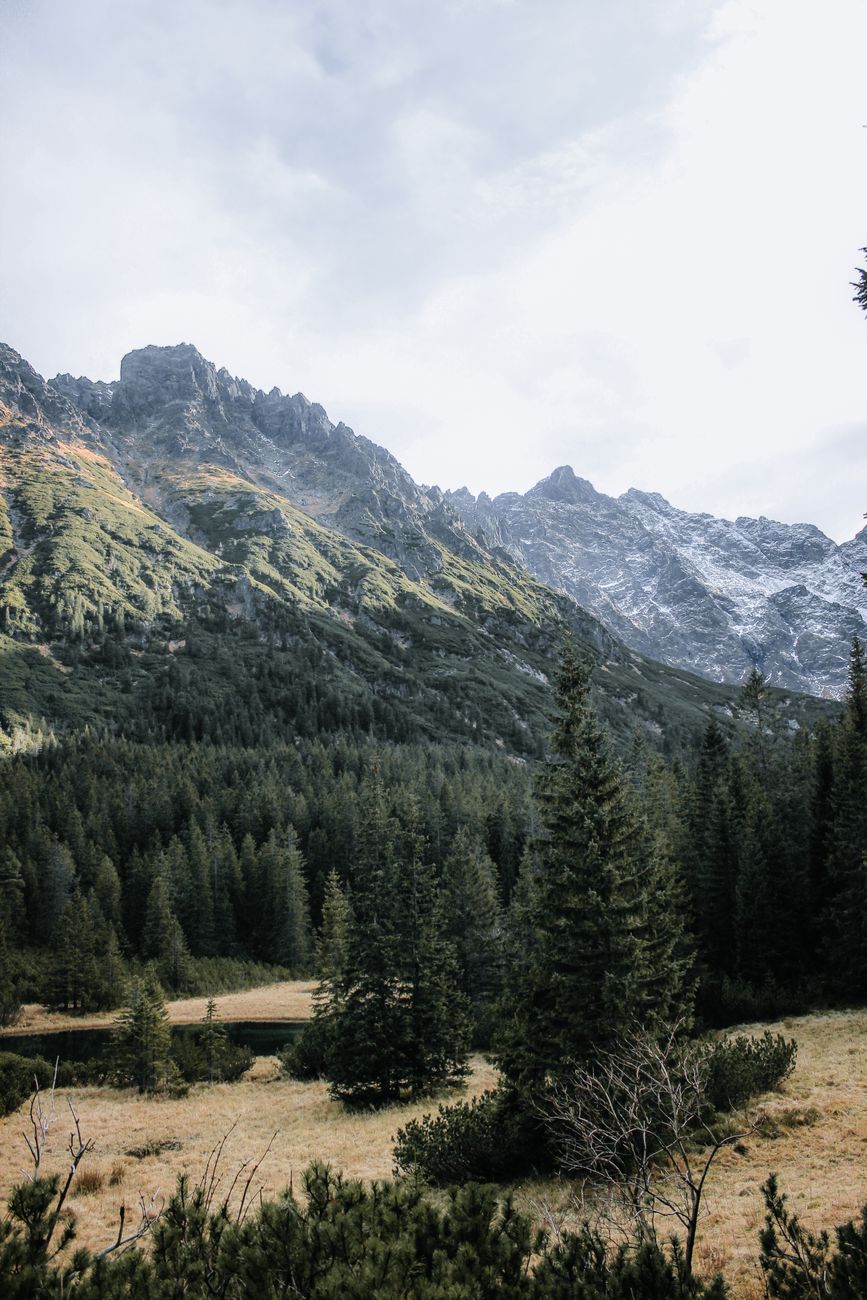 Breathtaking view of the Tatra Mountains with lush forests and snowy peaks in Zakopane, Poland.