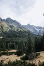 Green Pine Trees Near Mountain Under White Clouds