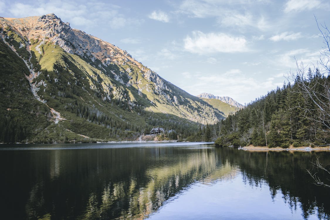 Fotobanka s bezplatnými fotkami na tému divá príroda, divočina, erózia