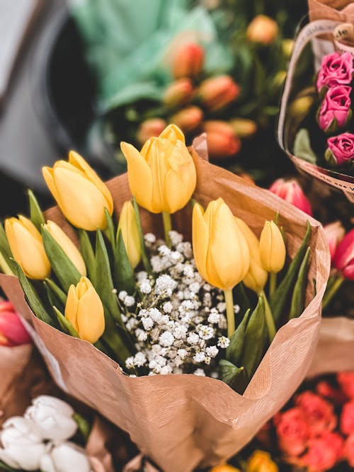 Gratis lagerfoto af babyer åndedræt, blomster, blomsterarrangement