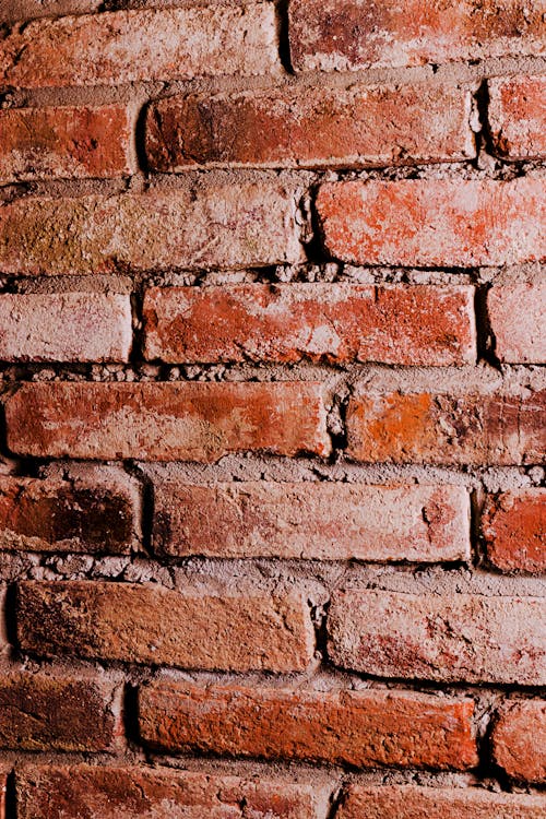 Red Brick Wall in Close-up Photography