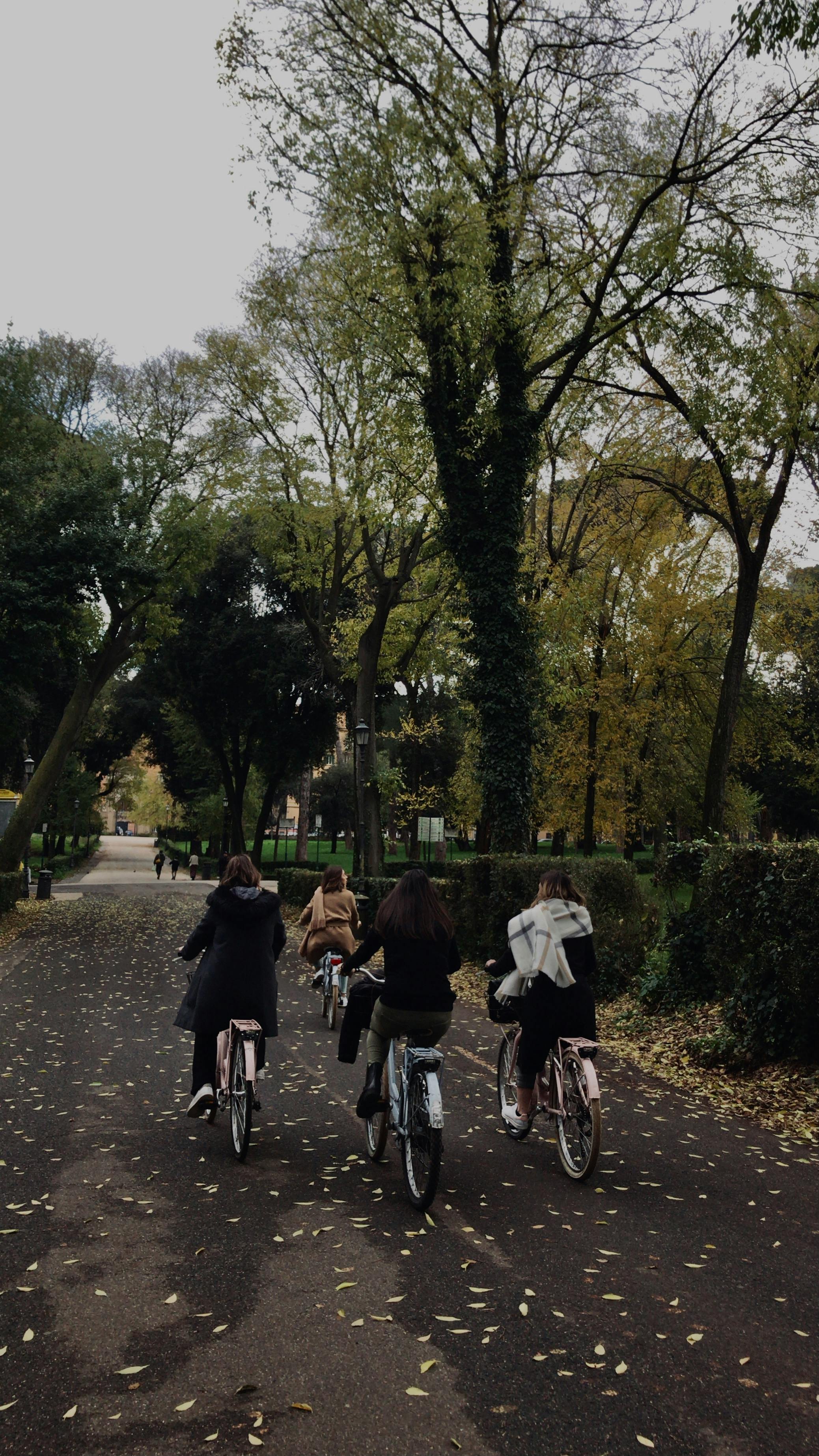 A group of people cycling through a tree-lined path in autumn, Rome, Italy.