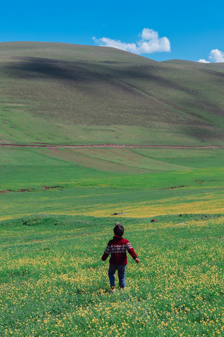 Child Walking Down Hill Covered In Yellow Flowers