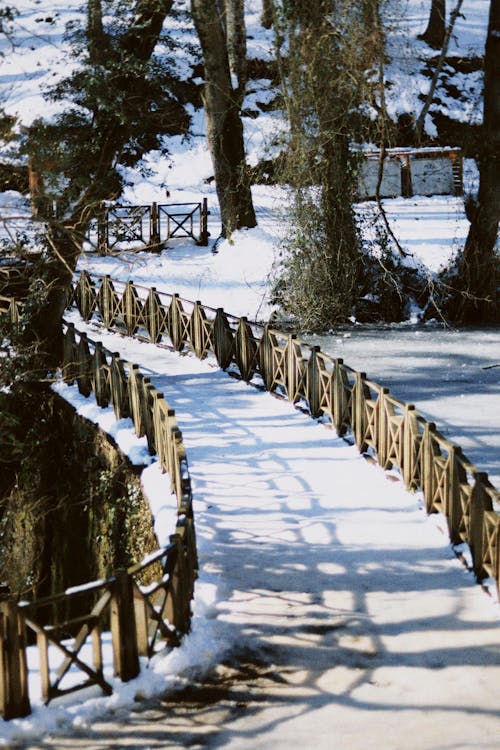 Wooden Fence Near Trees on a Snow Covered Ground